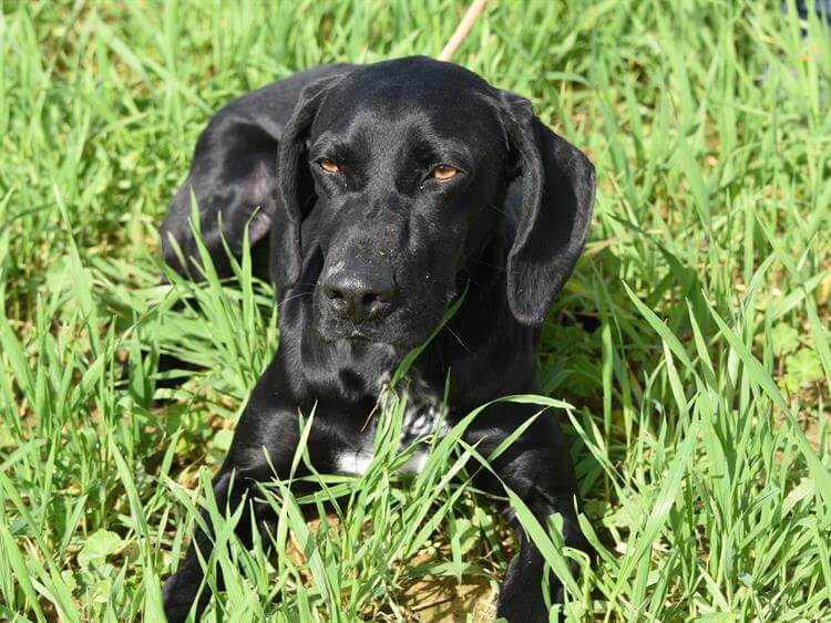 Mouzoura (Meira) Photo #1