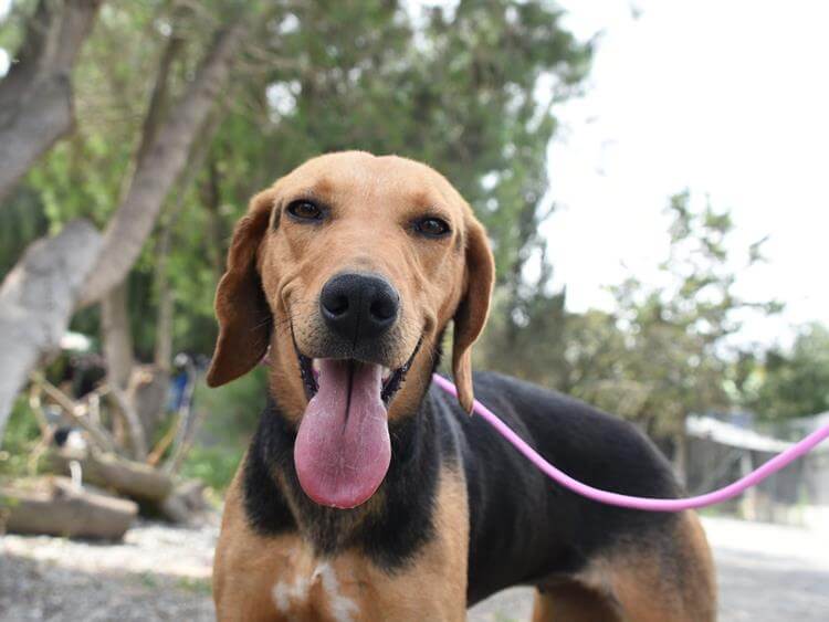 Lola Photo #1