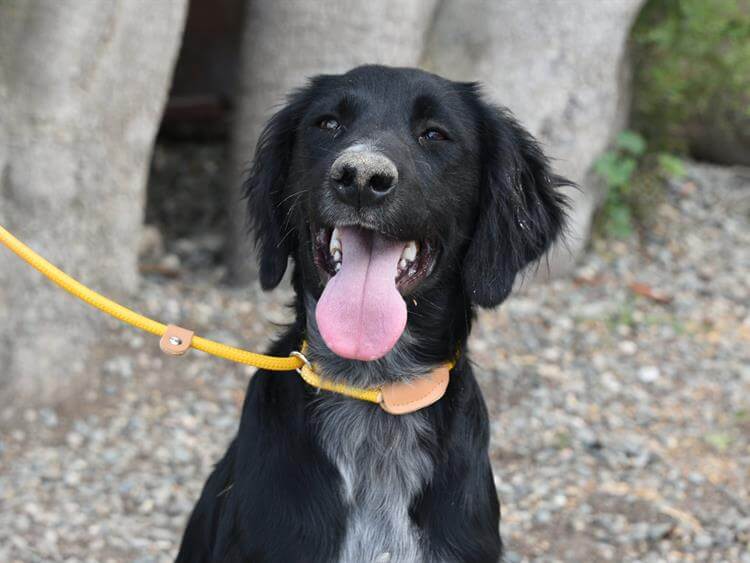 Barney/Ozzy Photo #1