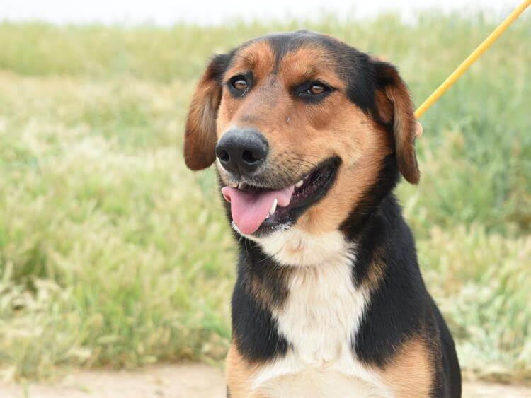 Glamour/Taffy Photo #1