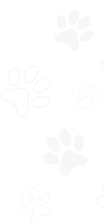 pawprint